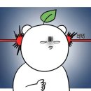 생생야채
