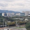 대구간송미술관 이미지