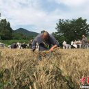 승도농장 이미지