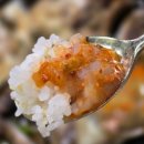 장지녕간장게장 | 한남동 맛집 [장지녕간장게장] 내돈내산 솔직후기(알배기/숫게장 비교)