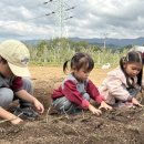 샘물농장 2 이미지