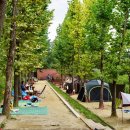 봉무공원야영장 이미지