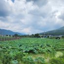 최고농장 이미지