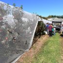 석제농장 이미지