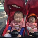 콩콩어린이공원 이미지