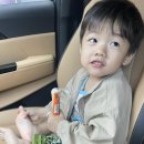 인천 [실미유원지] 캠핑 &amp; 차박 장소