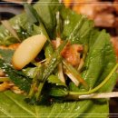 서해쭈꾸미 이미지