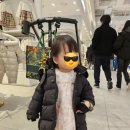 현대김포아울렛닥스키즈