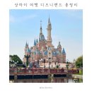 금가오토바이 | 상하이 여행 DAY2 디즈니랜드 총정리 | 얼리엔트리 동선 어트랙션 퍼레이드 일루미네이션