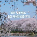 저수지목장 | 당진 벚꽃 명소 추천, 당진 가볼만한곳 골정저수지 벚꽃 만개 방문 후기