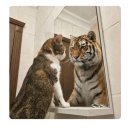 허그몽몽 | 월요일은 항상 화이팅