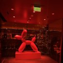 엠(M) | 암스테르담 citizen M south내돈내산 호텔 후기 | 시티즌엠