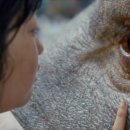 미란코퍼레이션 이미지