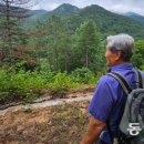 일석이조 이미지