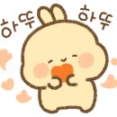 글라스타선부점 이미지