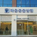 마음동물병원 이미지