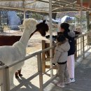 팜스프링 - 안산시 단원구 광덕2로 264 | 팜스프링