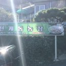 개동농장 이미지