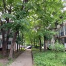 세븐플러스치과의원 이미지