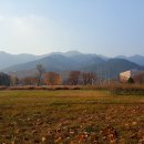 과천청사역 11번 출구 뒤 이미지
