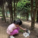 김녕안트레 이미지