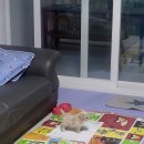 키즈멍 안양본점 이미지