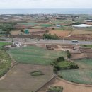 신도리-8 이미지