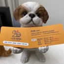 스무해 동물병원 이미지