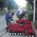 청학동 주민센터 이미지