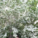 이팝미용 이미지