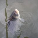 송현낚시터 이미지