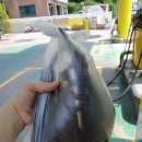 신화주유소 이미지