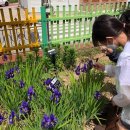 표교초등학교 이미지