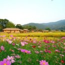 마음의 고향 이미지