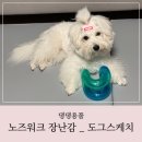도그스케치 | 강아지 노즈워크 장난감 도그스케치 강아지 분리불안 Goodbye