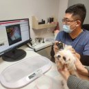 비타동물의료센터 이미지