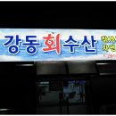 돌고래회수산 이미지