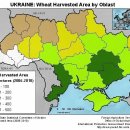 우크라이나 이미지