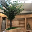 벚꽃치과의원 이미지