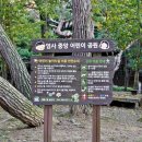 엄사중앙어린이공원 이미지