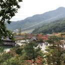 아이룩안경콘택트 이미지