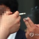 흡연에 관대한 유럽이라지만…EU남성 흡연율 한국보다 훨씬 낮아 이미지