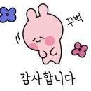 청담 고운 피부과 동물병원 이미지