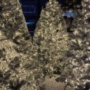 창동중앙점 | 겨울이 가장 먼저 찾아오는 거리 ❄️창원 창동, 눈꽃축제와 빛의 거리 트리 숲