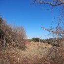 마망펜션 이미지