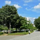 고가도로 밑 이미지