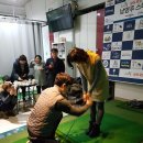 평내스크린골프