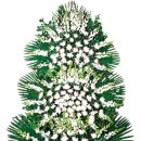 부림한방병원 이미지