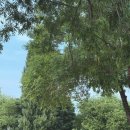 GS25 호원개나리점 | 주말 양화한강공원 피크닉 위치, 아이와 함께 배달음식 시키기 명당부터 꿀팁 (주차 정보)
