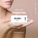눈썹하는날